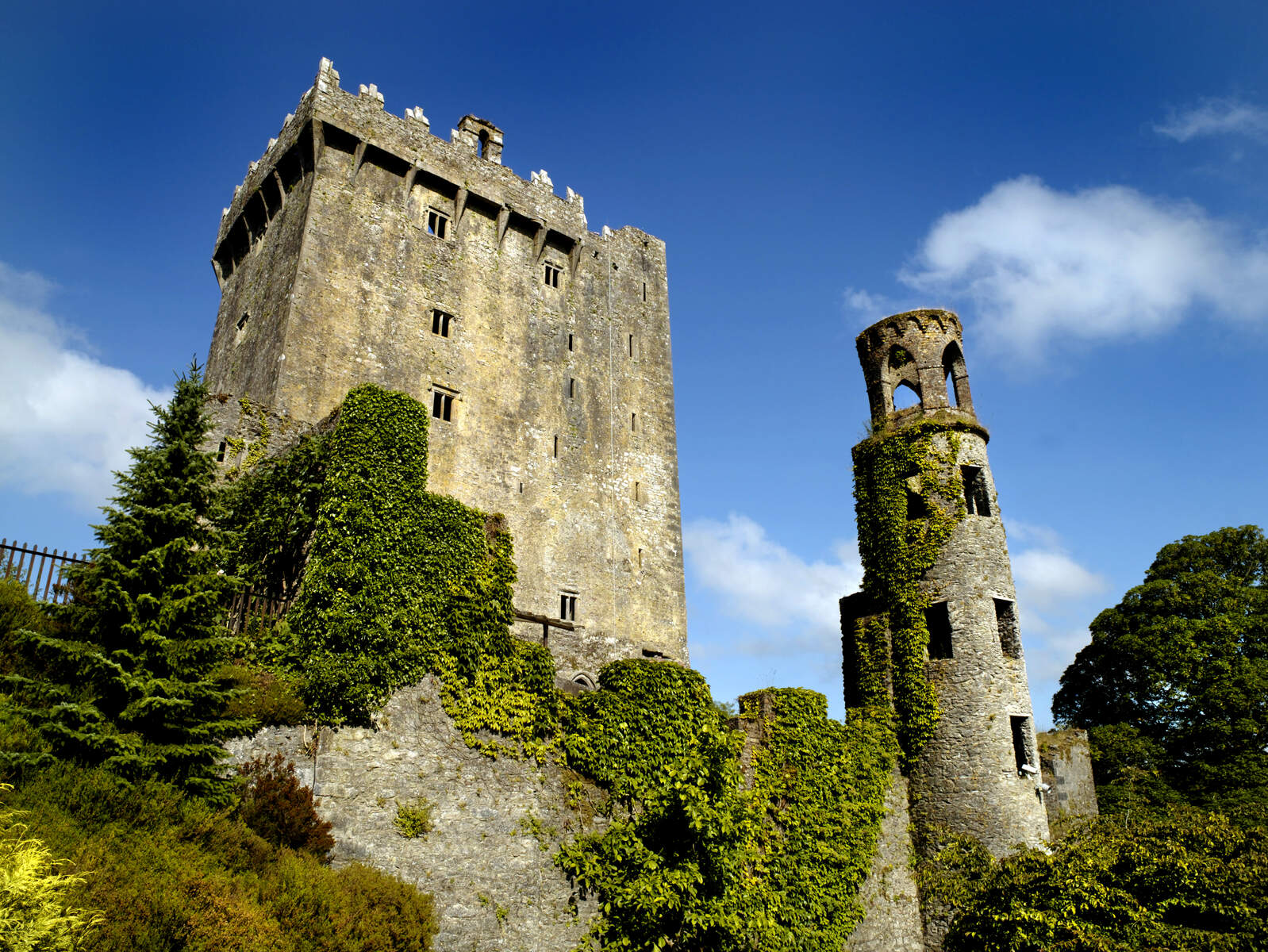 Les 8 plus beaux châteaux d'Irlande - Alainn Tours